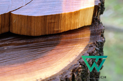 Ưu điểm của gỗ óc chó